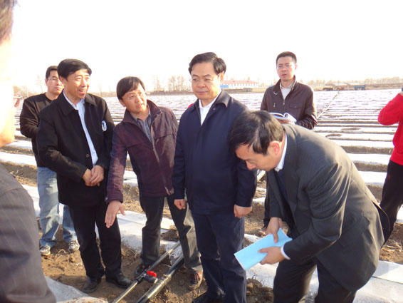 PP电子(中国)集团官网