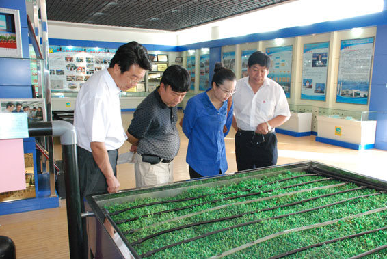 PP电子(中国)集团官网