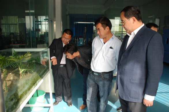 PP电子(中国)集团官网