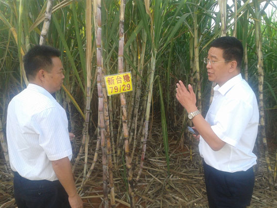 PP电子(中国)集团官网