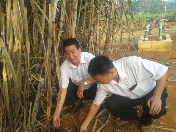 PP电子(中国)集团官网