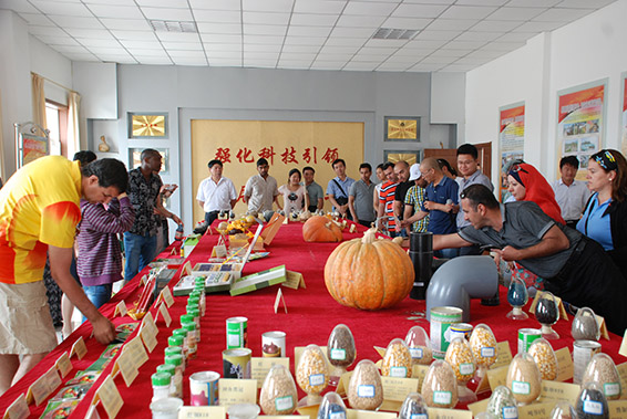 PP电子(中国)集团官网