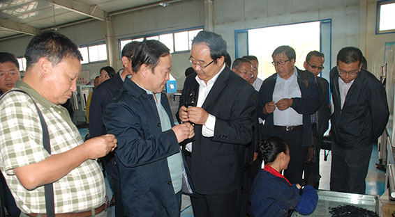 PP电子(中国)集团官网