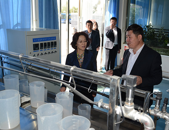 PP电子(中国)集团官网