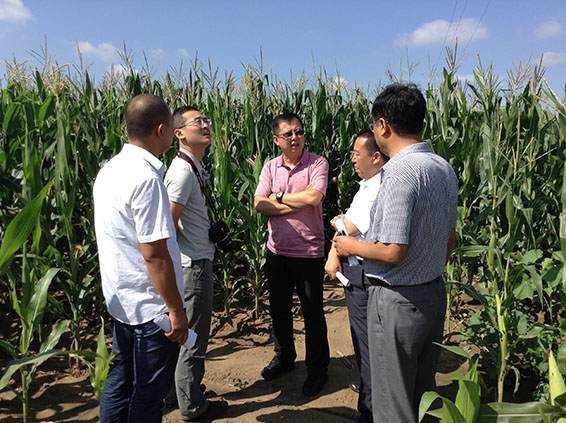 PP电子(中国)集团官网