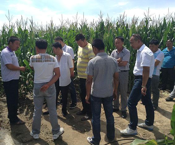 PP电子(中国)集团官网