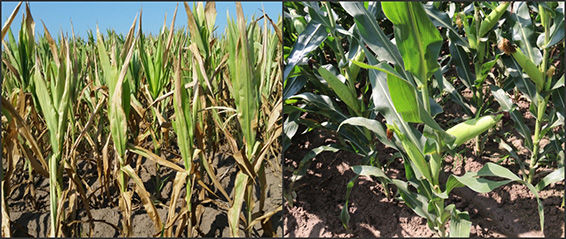 PP电子(中国)集团官网