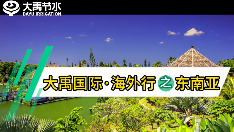 pp电子游戏平台国际外洋行之东南亚