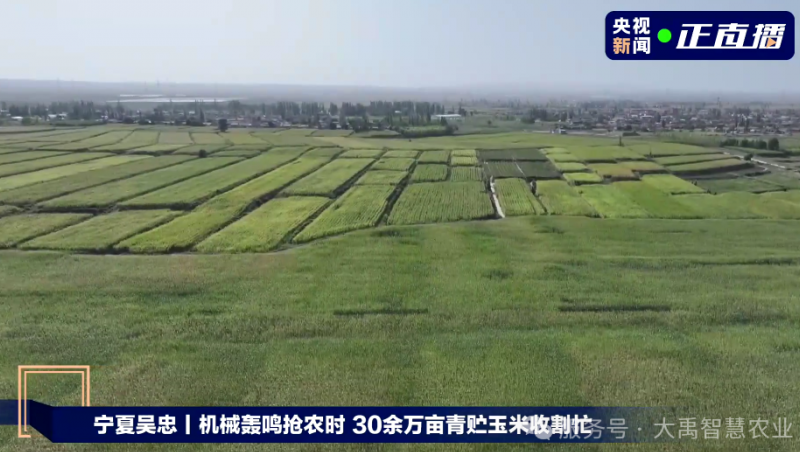  【媒体聚焦】pp电子游戏平台节水以智慧农业手艺，，，，，为 30 万亩青贮玉米丰收 “添动力”